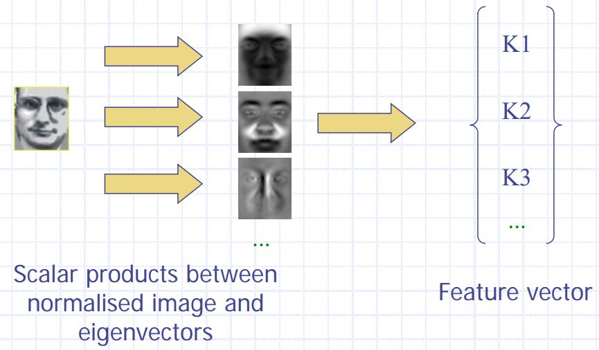 A Comprehensive Guide to Facial Recognition Algorithms - Part 1 ...